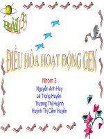 dieu hoa hoat dong gen