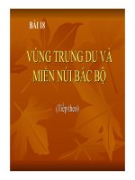 Bài giảng địa lý 9- Vùng trung du và miền núi Bắc bộ