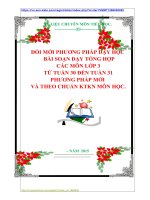 ĐỔI MỚI PHƯƠNG PHÁP DẠY HỌC   BÀI SOẠN DẠY TỔNG HỢP  CÁC MÔN LỚP 3  TỪ TUẦN 30 ĐẾN TUẦN 31  PHƯƠNG PHÁP MỚI  VÀ THEO CHUẨN KTKN MÔN HỌC.