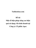 Một số biện pháp nâng cao hiệu quả sử dụng vốn kinh doanh tại Công ty Cổ phần Apec