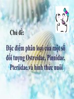 Đặc điểm phân loại của một số đối tượng Ostreidae, Pinnidae, Pteriidae,và hình thức nuôi