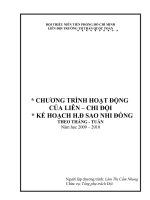 ĐỘI THIẾU NIÊN TIỀN PHONG HỒ CHÍ MINH