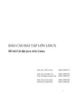 Báo cáo bài tập lớn linux cài đặt java trên linux