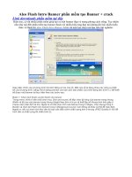 Aleo Flash Intro Banner phần mềm tạo Banner