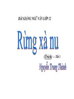 Bài giảng ngữ văn 12- Rừng xà nu (Nguyễn Trung Thành)