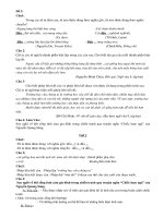 Đề 3/22 kiểm tra tổng hợp ngữ văn9