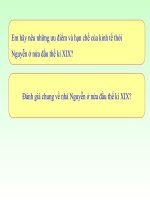 Bài 26 - Tình hình XH ở nửa đầu TK XIX và phong trào đấu tranh... - LS10