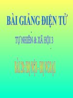 BÀI 20 HỌ NỘI, HỌ NGOẠI