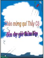 Bai 28: phuong phap nghien cuu di truyen hoc nguoi
