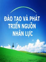 ĐÀO TẠO VÀ PHÁT TRIỂN NGUỒN NHÂN LỰC