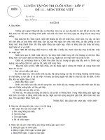 KTĐK CUỐI HK II MÔN TIẾNG VIỆT ĐỌC - HIỂU (2)