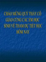 Bài 19: Nước Đại Việt thời Lê sơ