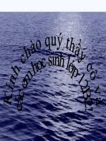 Bài giảng Vật Lý  12. Bài 12 Sóng cơ