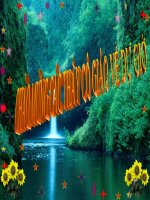 Trang ơi ...từ đâu đến?