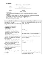 tuần 31 chuẩn b1