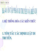 Bai 40: Ôn tập di truyền và biến dị