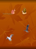 Hình động vật động ngộ nghĩnh