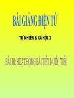 BÀI 10 HOẠT ĐỘNG BÀI TIẾT NƯỚC TIỂU