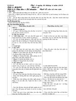 Lớp 3 Tuần 32 luyện,HSG