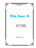 giao an 6 day du co bai kiem tra