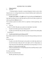 Thực tế hạch toán của các doanh nghiệp Việt Nam thông qua các chế độ kế toán của Việt Nam