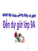 T SO MUOI QUAN TRONG