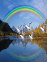 Bài giảng Vật Lý  12. Bài 26 các loại quang phổ .