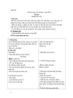 giao an tuan 29 lop 4