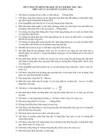 Đề cương ôn tập HKII-2010-2011 môn LÝ 11