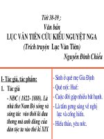 TIE 38,39. LUC VAN TIEN CUU KIEU NGUYET NGA ( NGUYEN DINH CHIEU)