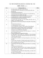 Đề cương ôn tập HKII-2010-2011 môn TOÁN 10