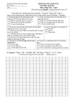 ĐỀ THI GIỮA HỌC KÌ II - LỚP 4