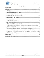 chuyên đề tảo hôn, nguyên nhân, giải pháp khắc phục