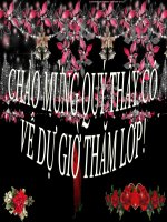 Rừng xà nu -Nguyen Trung Thanh