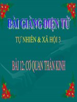 BÀI 12 CƠ QUAN THẦN KINH