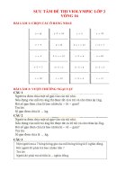 Đáp án Violympic vòng 16 môn Toán lớp 2