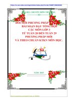 ĐỔI MỚI PHƯƠNG PHÁP DẠY HỌC   BÀI SOẠN DẠY TỔNG HỢP  CÁC MÔN LỚP 3  TỪ TUẦN 28 ĐẾN TUẦN 29  PHƯƠNG PHÁP MỚI  VÀ THEO CHUẨN KTKN MÔN HỌC.