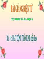 BÀI 14 HOẠT ĐỘNG THẦN KINH (tiếp theo)