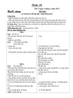 giao an lop 2 tuan 30 (gui Mai)