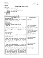 GIAO AN LOP 5 TUAN 31THEO CKTKN