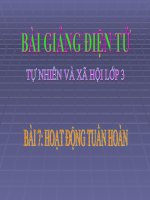 BÀI 7 HOẠT ĐỘNG TUẦN HOÀN