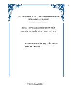 TỔNG HỢP CÁC BÀI TIỂU LUẬN MÔN NGHIỆP VỤ NGÂN HÀNG THƯƠNG MẠI