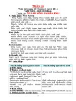 GIÁO ÁN LỚP 3 BUỔI SÁNG CHUẨN ĐÃ CHỈNH SỬA HOÀN CHỈNH CHỈ CẦN IN RA DÙNG