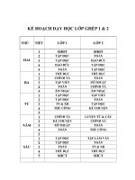 KẾ HOẠCH DẠY HỌC LỚP GHÉP 1+2