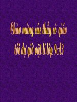 Ảnh của vật tạo bởi gương phẳng (Có video minh họa