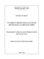 Luận án Tiến sĩ Toán học ngành Lý thuyết xác suất và thống kê toán Các định lý giới hạn dạng luật số lớn đối với mảng các biến ngẫu nhiên