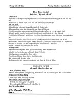 Gáo án hoạt động tập thể