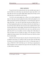 Phát triển và mở rộng thị trường tiêu thụ sản phẩm tại công ty TNHH NCC VIỆT NAM