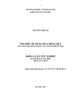 Tìm hiểu di tích chùa Đồng Bụt(thôn Đồng Bụt, xã Ngọc Liệp, huyện Quốc Oai, Tp Hà Nội)