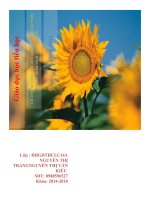 tiểu luận  giáo viên chủ nhiệm có ảnh hưởng như thế nào đến nhân cách học sinh ở trường trung học ,nêu thực trang và đề xuất cá nhân